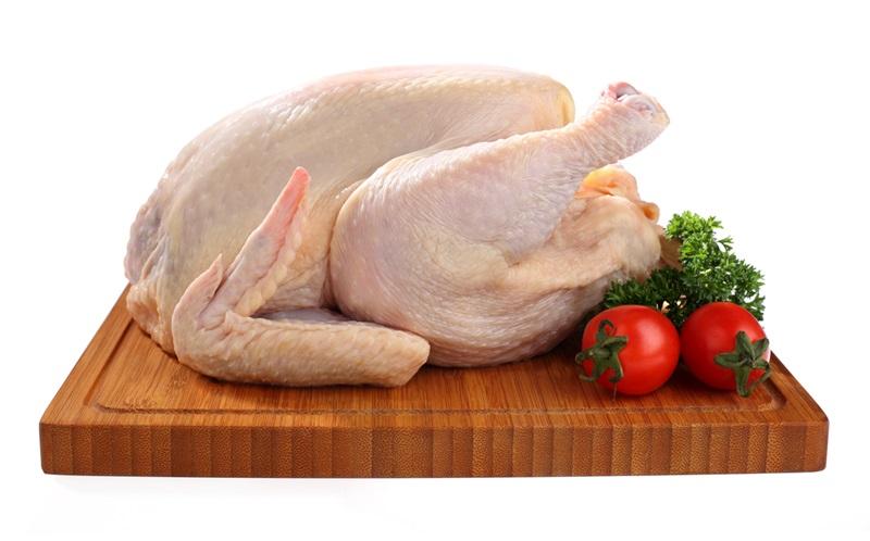 54+ Gambar Bagian Tubuh Hewan Ayam HD Terbaru