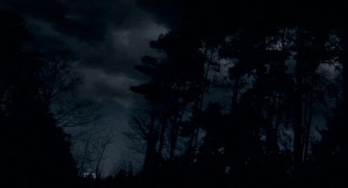 Hutan Malam